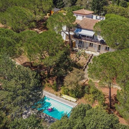 Au Point Du Jour - Gites Carcassonne, Lac De La Cavayere Экстерьер фото